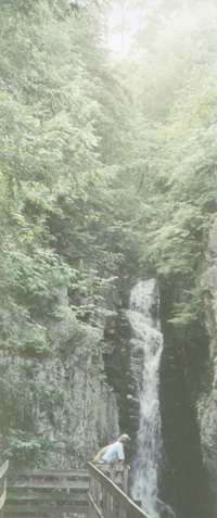 Fall of Song, Shannon Brook